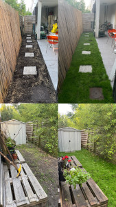 Photo de galerie - Création de jardin avec pousse de vrai pelouse 