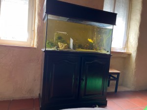 Photo de galerie - Relooking meuble aquarium après 