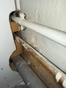 Photo de galerie - Voies  de passage des souris