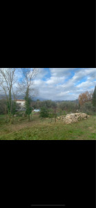 Photo de galerie - Remise en état et coupe de bois 