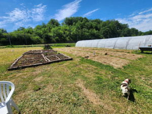 Photo de galerie - Création potager 