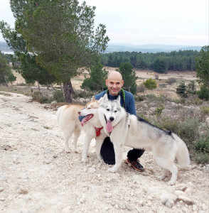 Photo de galerie - Je peux garder vos chiens pendant les week-ends :-) en photo mes deux huskys mâles castrés, tres sociables.