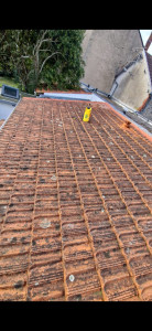 Photo de galerie - Nettoyage et traitement antimous 