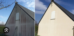 Photo de galerie - Nettoyage pignon et toiture avec produit anti mousse sans utilisation de Karcher 