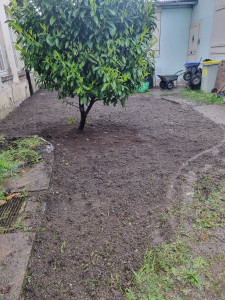 Photo de galerie - Paysagiste - Aménagement du jardin