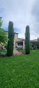 Photo de galerie - Taille de haies et d'arbustes