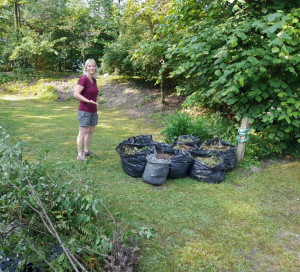 Photo de galerie - Tout entretien d'espace vert 