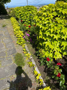 Photo de galerie - Avant 