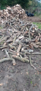 Photo de galerie - Coupe de bois 