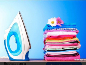 Photo de galerie - Repassage à domicile 