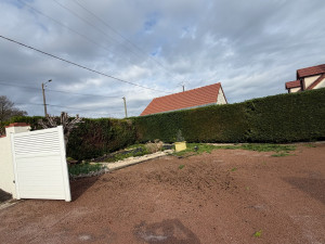 Photo de galerie - Taille de tuya 