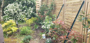 Photo de galerie - Paysagiste - Aménagement du jardin