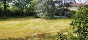 Photo de galerie - Tonte de pelouse et débroussaillage