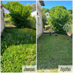 Photo de galerie - Tonte de pelouse - Débroussaillage