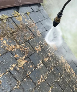 Photo de galerie - Nettoyage toiture à la vapeur