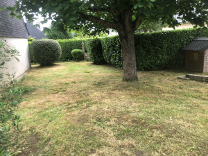 Photo de galerie - Remise en état terrain 