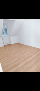 Photo de galerie - Peinture et tapis