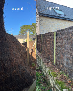 Photo de galerie - Nettoyage et remise en état du brise-vue — Avant / Après