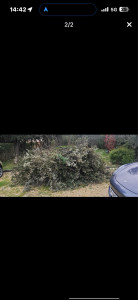 Photo de galerie - Paysagiste - Aménagement du jardin