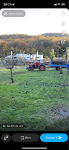 Photo de galerie - Elagage et coupe d'arbres