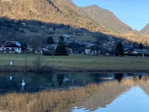 Photo de galerie - Photographe