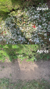 Photo de galerie - Enlèvement déchet et gravats 