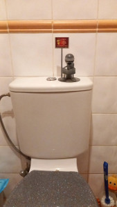 Photo de galerie - Après : Remplacement de la chasse d'eau. 