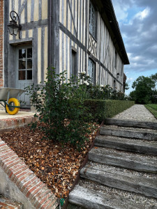 Photo de galerie - Paysagiste - Aménagement du jardin