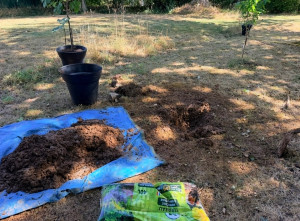 Photo de galerie - Plantation pour une nouvelle vie.