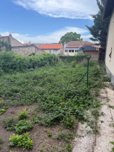 Photo de galerie - Enlèvement de ronce (AVANT)