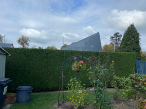 Photo de galerie - Taille 