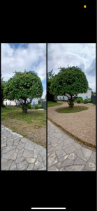 Photo de galerie - Paysagiste - Aménagement du jardin