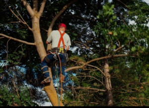 Photo de galerie - Sécurité efficacité travail très professionnel