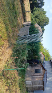 Photo de galerie - Défrichage d'ortie 
