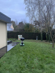 Photo de galerie - Taille de haie 