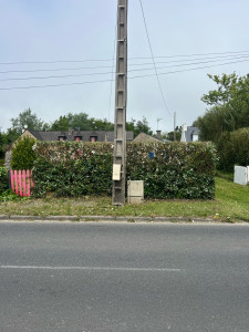Photo de galerie - Taille de haie 