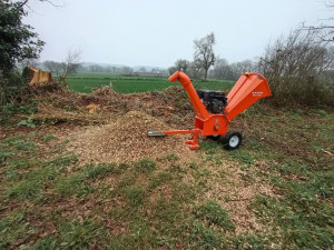 Photo de galerie - Elagage et coupe d'arbres