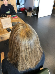 Photo de galerie - Coloration végétale 