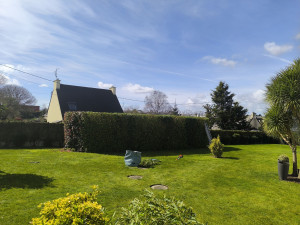 Photo de galerie - Taille de haies et d'arbustes