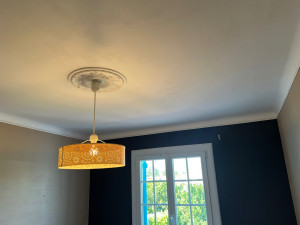 Photo de galerie - Peinture plafond 