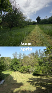 Photo de galerie - Tonte de pelouse - Débroussaillage