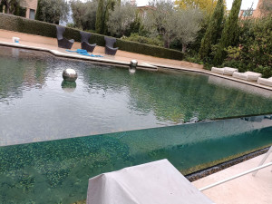 Photo de galerie - Entretien piscine 
