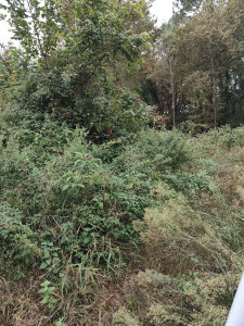 Photo de galerie - Avant 