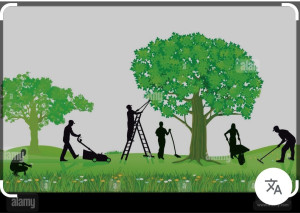 Photo de galerie - Bonjour je suis tony prêt à tout  pour vos besoins !!!!