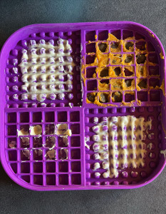 Photo de galerie - Préparation du tapis de léchage 