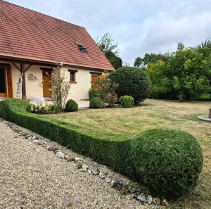 Photo de galerie - Taille de haies et d'arbustes