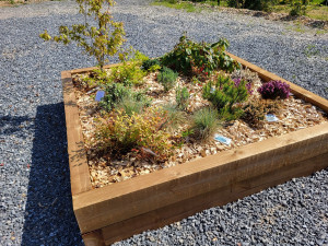 Photo de galerie - Création de massif, plantation 