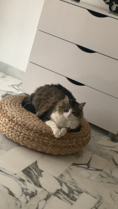 Photo de galerie - Co-locataire : Louna 