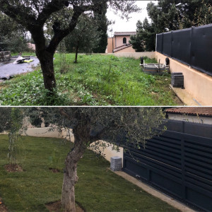 Photo de galerie - Paysagiste - Aménagement du jardin