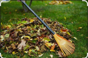 Photo de galerie - Jardinier